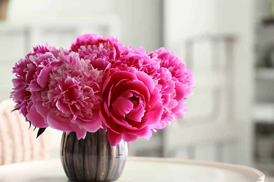 12 Months, 12 Flowers: Your Birthday Bloom Awaits