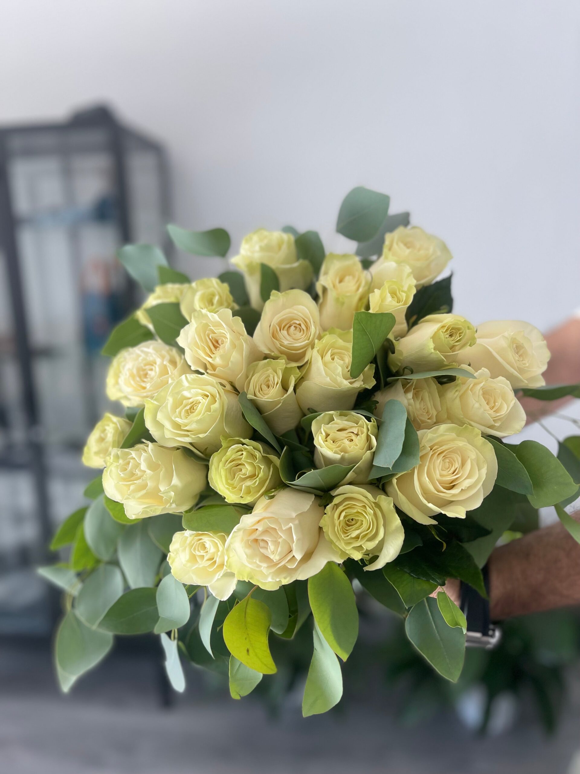 25 Pristine White Roses Paired with Fresh Eucalyptus