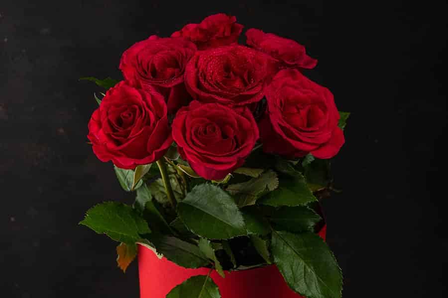 Blooming Joy: Happy Anniversary Flowers Decoded