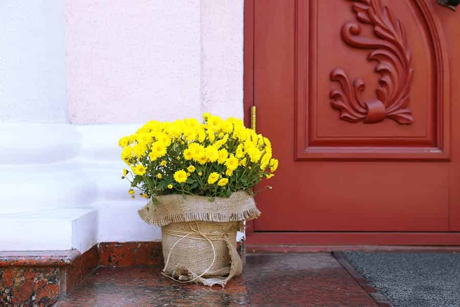Blooms at Your Doorstep: Top 10 Flower Subscription Boxes