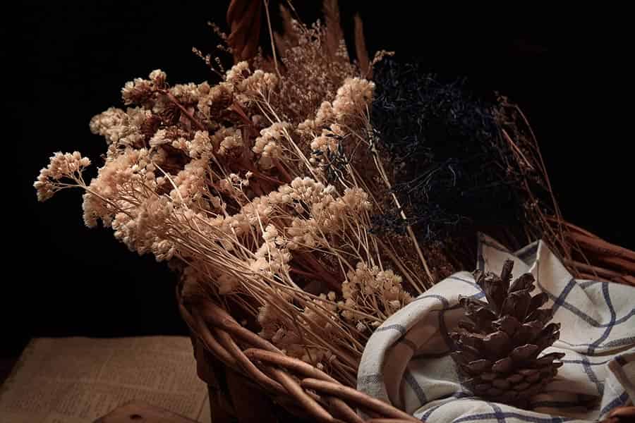 Everlasting Beauty: The Art of Dried Flower Arrangements