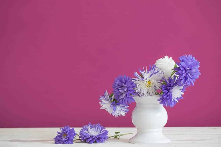 Fall’s First Flowers: September Birthday Blooms