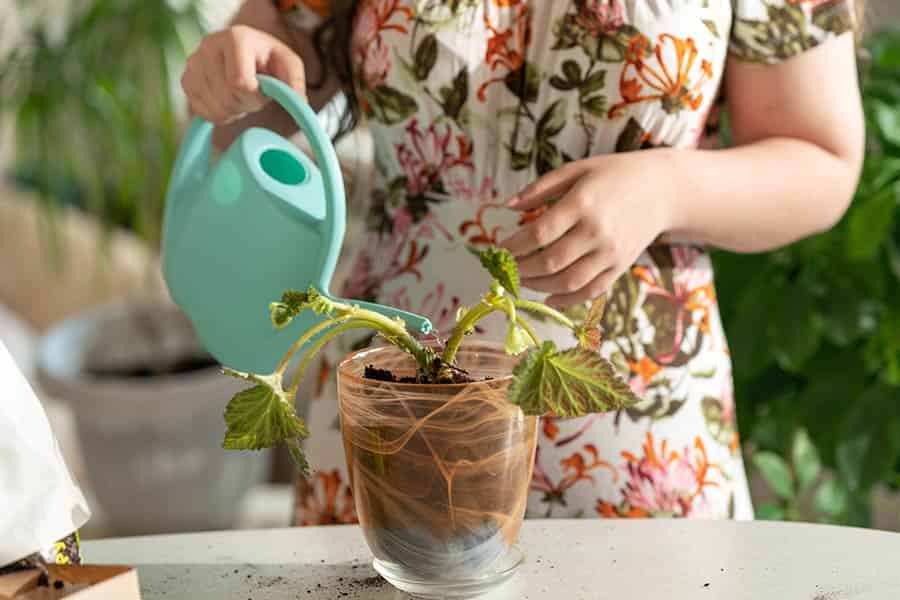 Green Thumb Guide: 10 Eco-Friendly Ways to Care for Your Flowers