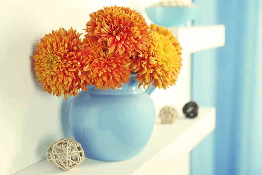 Harvest Hues: October’s Birthday Flower Palette