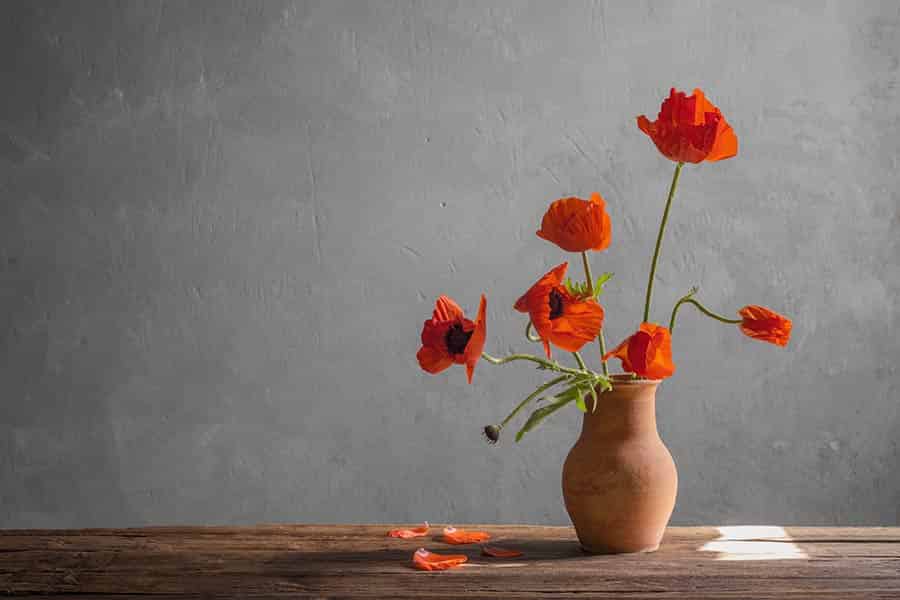 Heat Wave Beauty: August’s Birthday Flower Guide