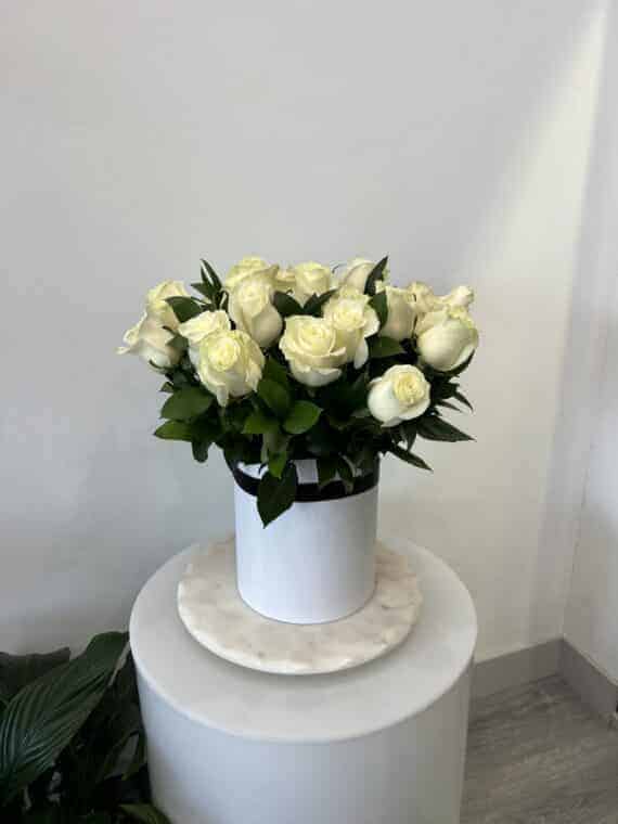 Timeless White Rose Tribute - Comfort and Elegance