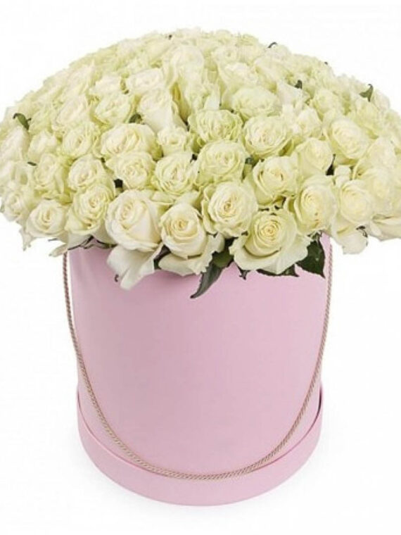Velvet Rose Treasure: Exquisite Boxed Roses Display