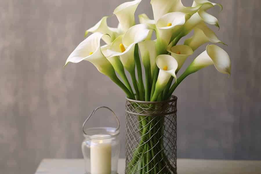 Love in Bloom: 12 Best Anniversary Flowers Revealed