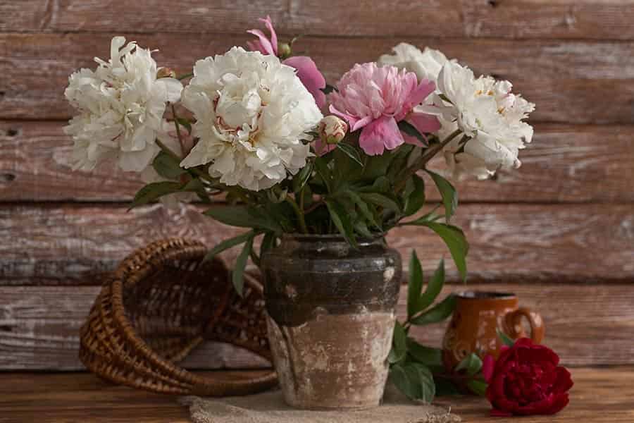 Love in Bloom: Romantic Flower Meanings to Express Your Feelings