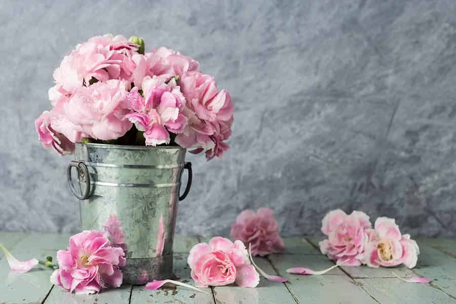 New Year, New Bloom: January’s Birthday Flower Story