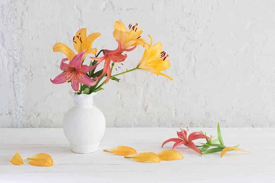 Petal Power: 15 Happy Birthday Flowers That Wow