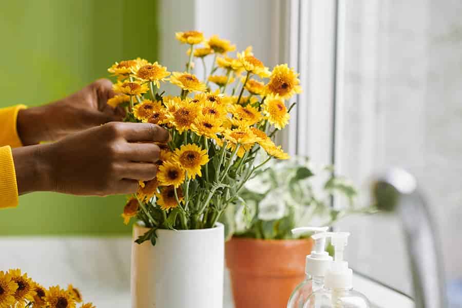 The Ultimate Guide to Flower Food: Nourish Your Blooms