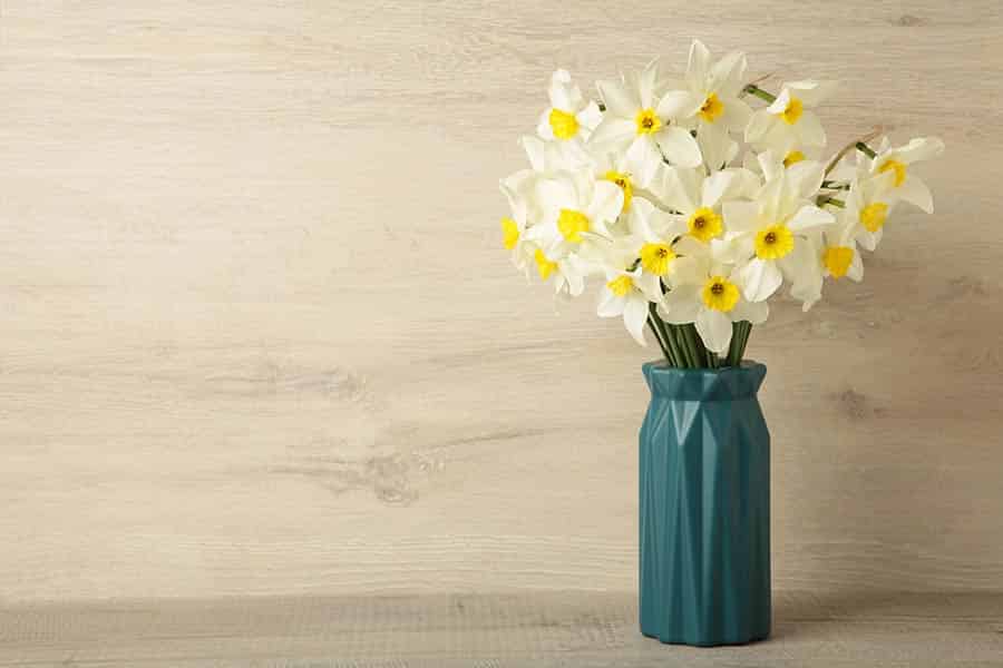 Your Birth Month Flower: Meanings, Legends, and Gift Ideas