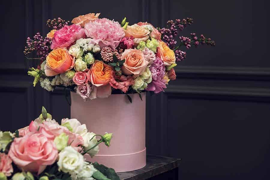 Premium Quality Floral Design Scissors and Shears