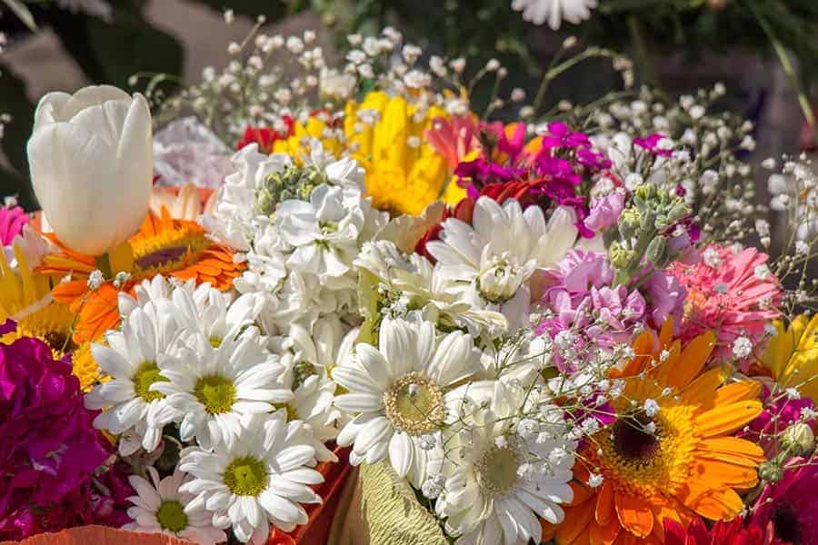 Buy Fresh Seasonal Flowers Near You | Our Tips