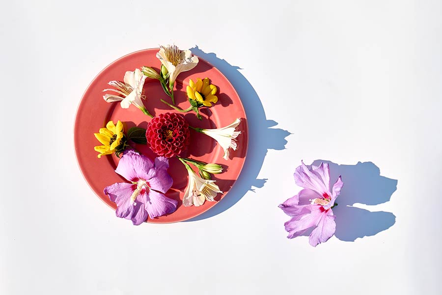 Edible Seasonal Flowers for Culinary Delights Guide