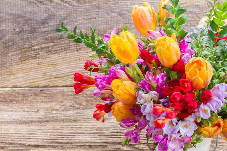 Choosing Seasonal Flowers for Your Garden | Floral Fusion